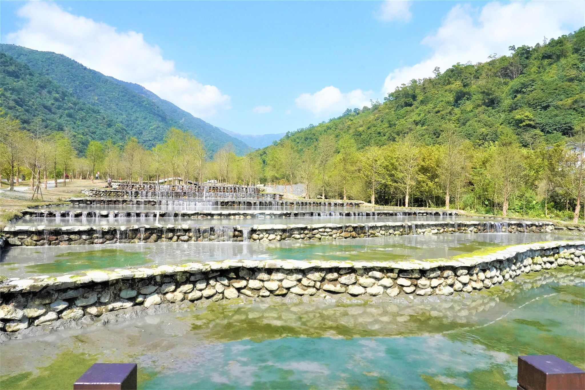 礁溪又有新景點 精靈系秘境 三層坪農塘 有落羽松最快7月開放 Ettoday旅遊雲 Ettoday新聞雲