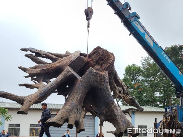 ▲▼檢警在廢棄工廠查獲當年盜採的牛樟樹頭，重約2千公斤市值64萬元。（圖／台東林管處提供，下同）