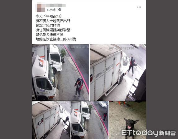 ▲新北市汐止區一民眾飼養土狗遭陌生男子牽走，警方緊急協尋找回。（圖／記者張君豪翻攝）