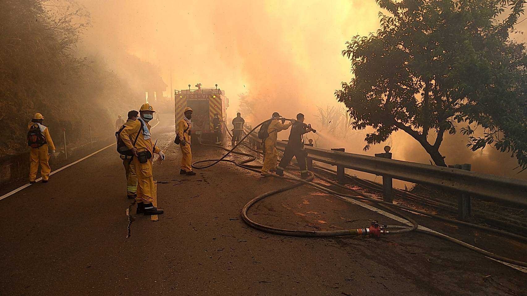 ▲▼阿里山火災畫面。（圖／林務局提供，下同）