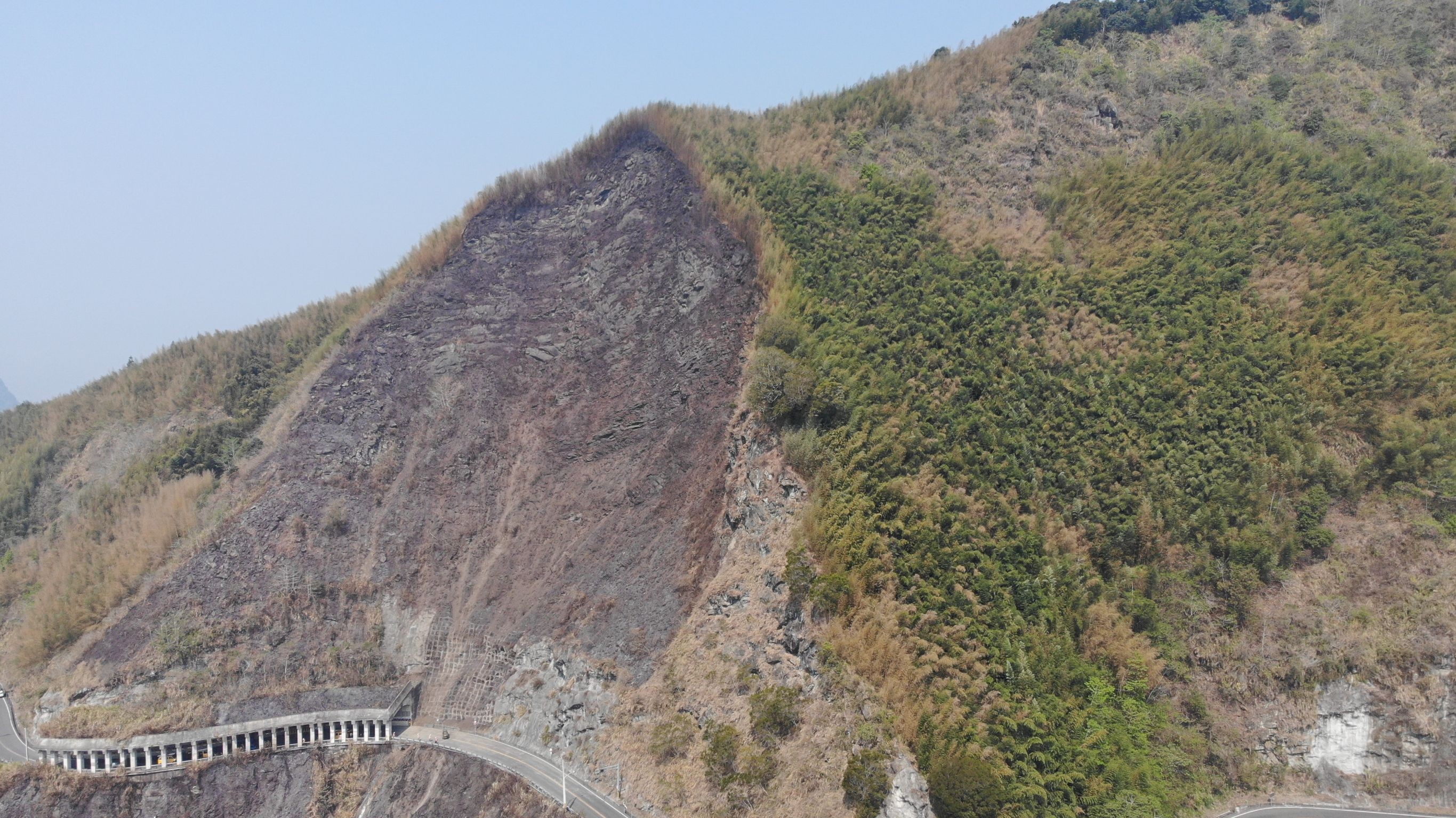 ▲▼阿里山火災畫面。（圖／林務局提供）