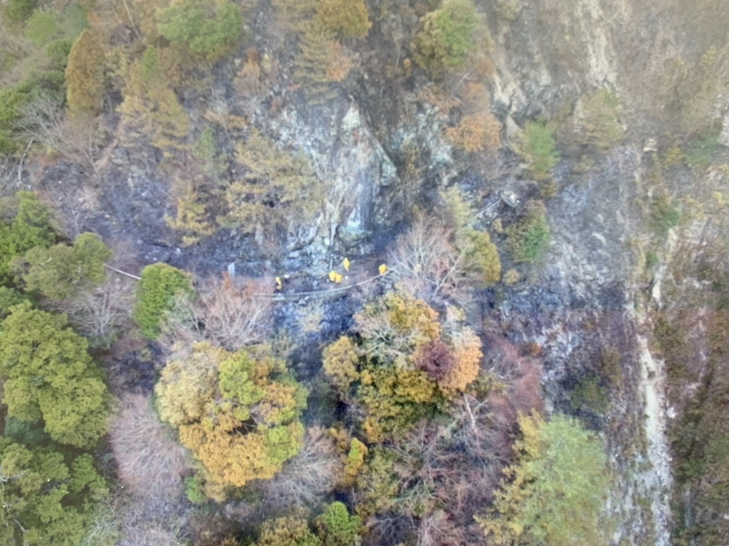 ▲▼東勢處110年2月火災畫面。（圖／林務局提供）