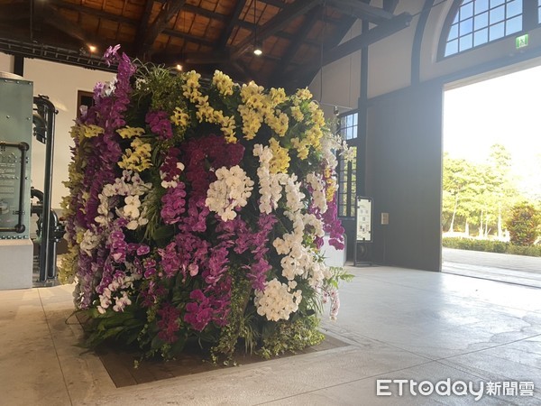 ▲台南山上花園水道博物館，將國際蘭展轉移至館區的花卉，以「有蘭一方」為主題，搭配水道博物館古色古香的歷史建築，讓蘭花在水道博物館繼續優雅綻放。（圖／記者林悅翻攝，下同）
