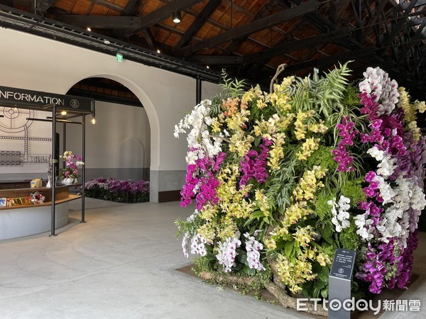 ▲台南山上花園水道博物館，將國際蘭展轉移至館區的花卉，以「有蘭一方」為主題，搭配水道博物館古色古香的歷史建築，讓蘭花在水道博物館繼續優雅綻放。（圖／記者林悅翻攝，下同）