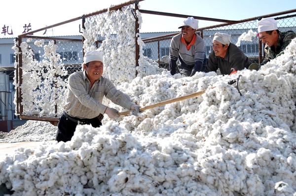 ▲新疆棉花。（圖／CFP）