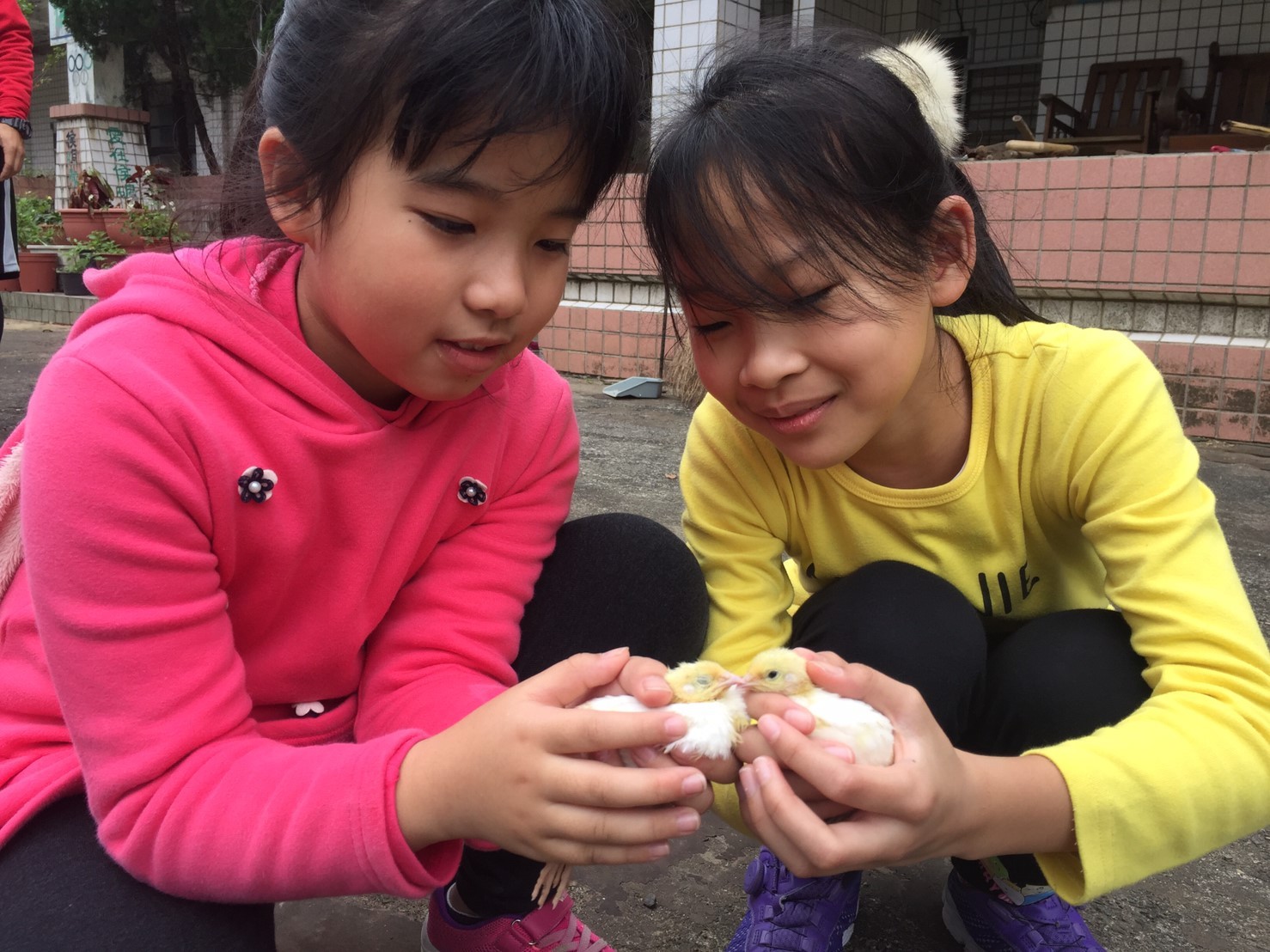 ▲▼       下課20分鐘！石門國中、坪林國中下學期轉型實驗學校　新北市民都可唸。（圖／新北市教育局提供）