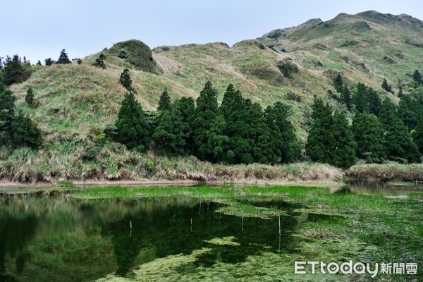 ▲陽明山五感森林療癒旅行,冷水坑,夢幻湖,菁山自然中心,寧靜步道。（圖／記者彭懷玉攝）