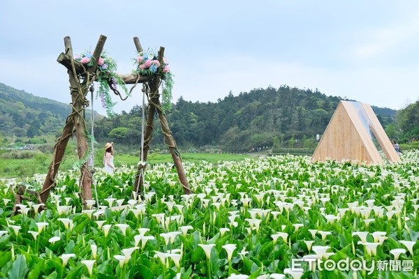 ▲名陽匍休閒農莊,名陽匍老闆王財欽,奇淉創意設計康乃元,苗榜第二代高于玄。（圖／記者彭懷玉攝）