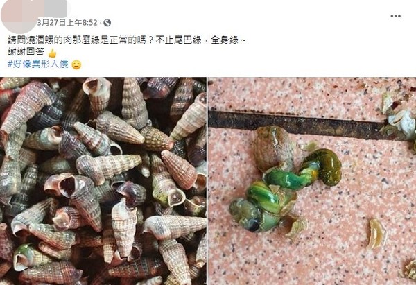 燒酒螺吃到「綠色異形」。（圖／翻攝自Facebook／爆系知識家）