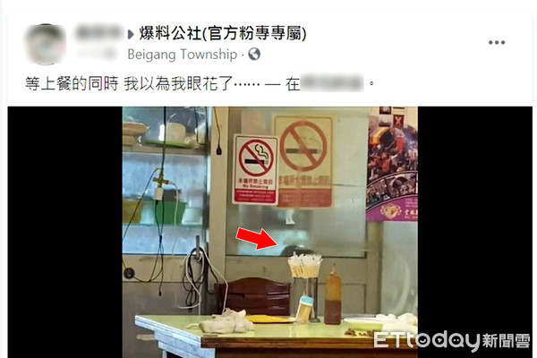 ▲影片中2隻老鼠剪影清晰，宛如電影料理鼠王情節。（圖／記者蔡佩旻翻攝）