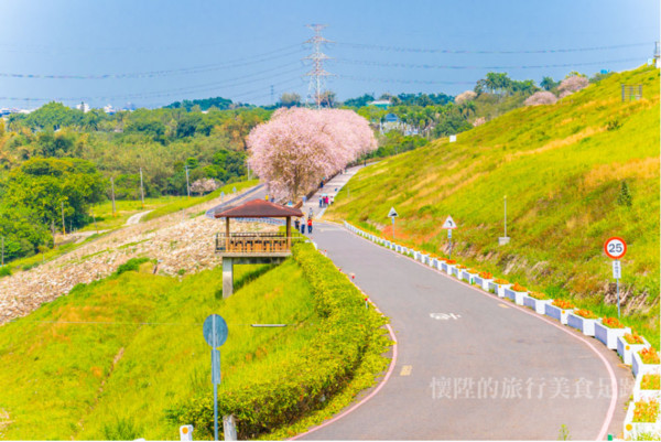 ▲▼台南櫻花小旅行。（圖／懷陞足跡授權提供，下同，請勿隨意翻攝以免侵權）