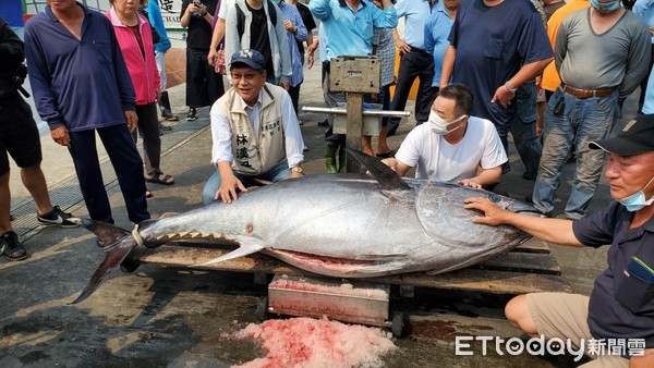 ▲琉球籍滿吉財號漁船捕獲2021屏東第一鮪             。（圖／東港區漁會提供，以下同）