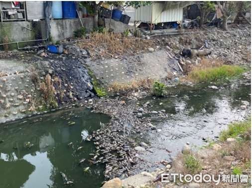 ▲雲林縣林內鄉烏塗子大排於昨日經民眾通報有大量魚群暴斃及大量泡沫情形。 （圖／記者蔡佩旻翻攝）