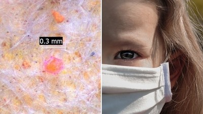 怕！人類「每一口呼吸」都有破裂塑膠顆粒　科學家：小於20微米就會卡在內臟