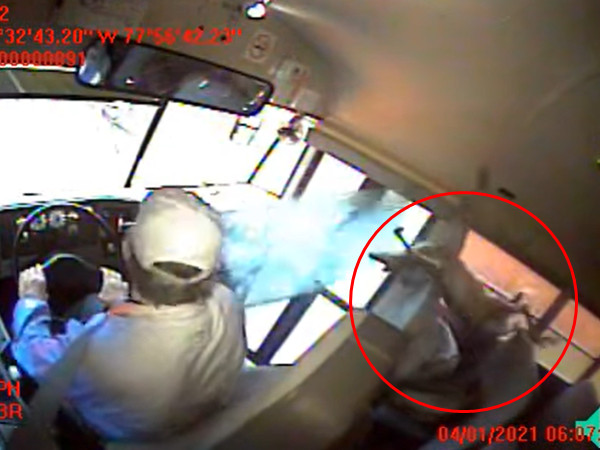 ▲美國維州一所高中校車差點撞鹿。（圖／翻攝自Facebook／Powhatan Community Forum）