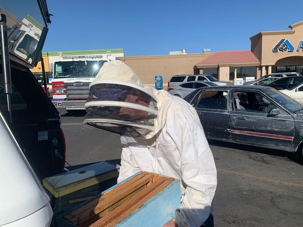 ▲▼男子汽車遭蜜蜂入侵。（圖／翻攝自Facebook／Las Cruces Fire Department）