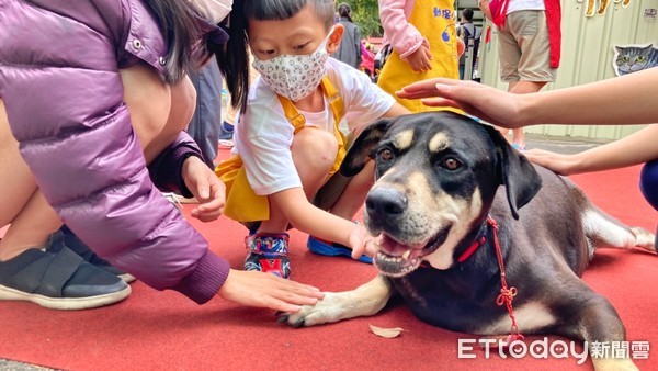 ▲4月4日世界流浪動物日 新北毛寶貝教育園區給兒童最棒禮物。（圖／新北市動保處提供）