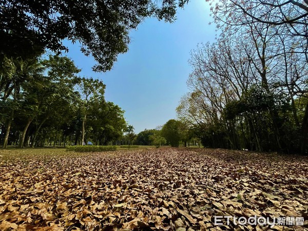 ▲清明連假台南山上花園水道博物館再創佳績，超過14000人入園，結合鄰居化石館，成功開啟台南山區旅遊行程。（圖／記者林悅翻攝，下同）