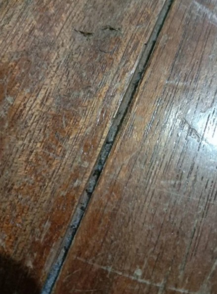 ▲▼ 房間木地板裡卡了一些像灰塵的渣渣，我長期過敏的元兇吧？（圖／翻攝Dcard）