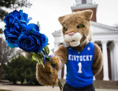 ▲▼肯塔基大學吉祥物「野貓」歡迎錄取大學生。（圖／翻攝自Instagram／ukyadmissions）