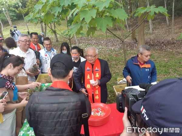 ▲劉泰英響應姜太公道場愛農計畫於客家大院叫賣鳳梨，遊客反應熱烈，上百顆鳳梨被搶購一空。（圖／記者黃孟珍翻攝）