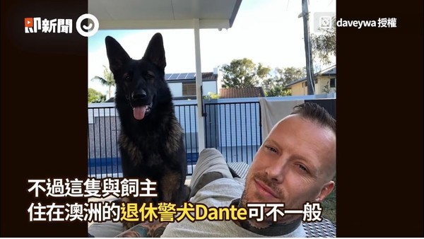 職業病！退休警犬聽到「關鍵字」氣炸　轉頭怒瞪：想被逮捕？