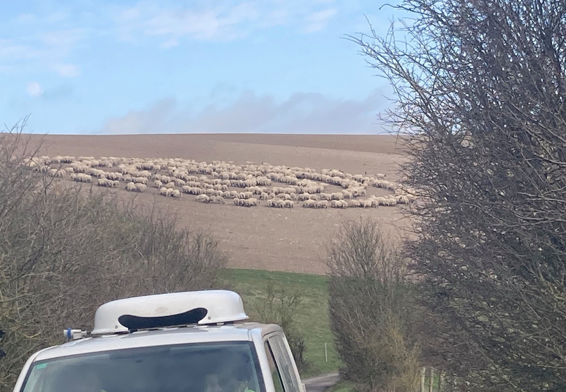 ▲▼  英國東薩塞克斯郡一名男子近日直擊數百隻綿羊圍成同心圓的奇怪一幕。（圖／翻攝自臉書）