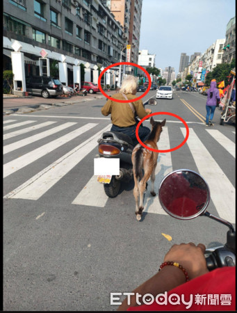 ▲民眾拍下一名白髮翁沒有戴安全帽，公然在大街上遛馬            。（圖／翻攝《高雄人大小事》）