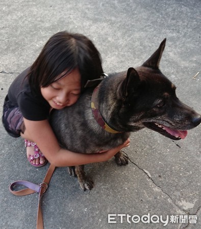 ▲忠犬深夜異常猛吠！　媽開門看「雞舍整片紅」...險釀災牠救全家。（圖／大顆麻糬“珍促米”提供）