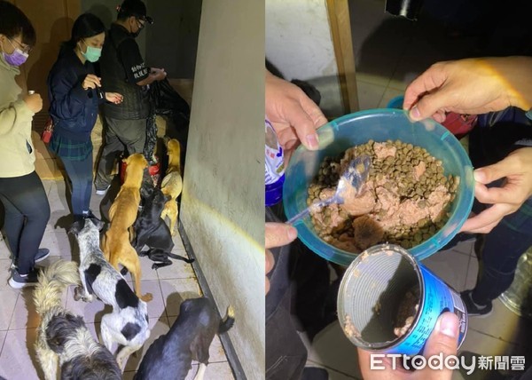 ▲肚子被挖空剩半頭！竹市7隻瘦骨狗遭囚2樓廢墟　餓到狂啃浴缸同伴。（圖／網友邵柏虎提供，請勿隨意翻拍，以免侵權。）