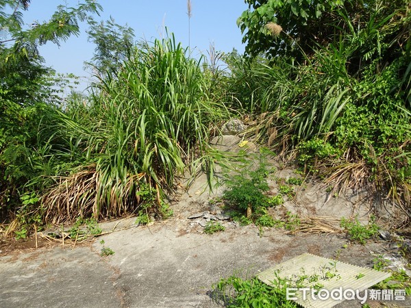 ▲台南市政府自然地景及自然紀念物審議會，審議通過並做成指定處分決定，指定台南龍崎自然保留區+地質公園總共280公頃。（圖／記者林悅翻攝，下同）