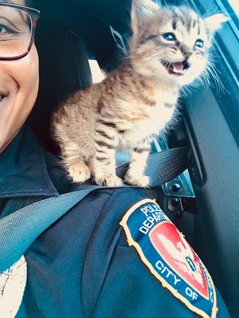發抖小貓征服巡邏女警。（圖／翻攝自Durham Police Department臉書）