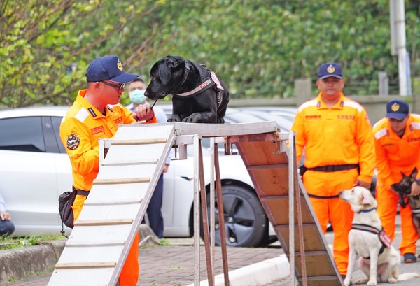 ▲▼10隻海巡偵搜犬畢業，將前往全台各地，參與海防一線的各項勤務。（圖／翻攝海巡署長室 Coast Guard粉絲專頁）
