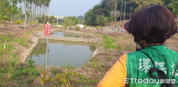 ▲香蕉亂倒險毀千萬生態池。（圖／記者翁伊森攝）