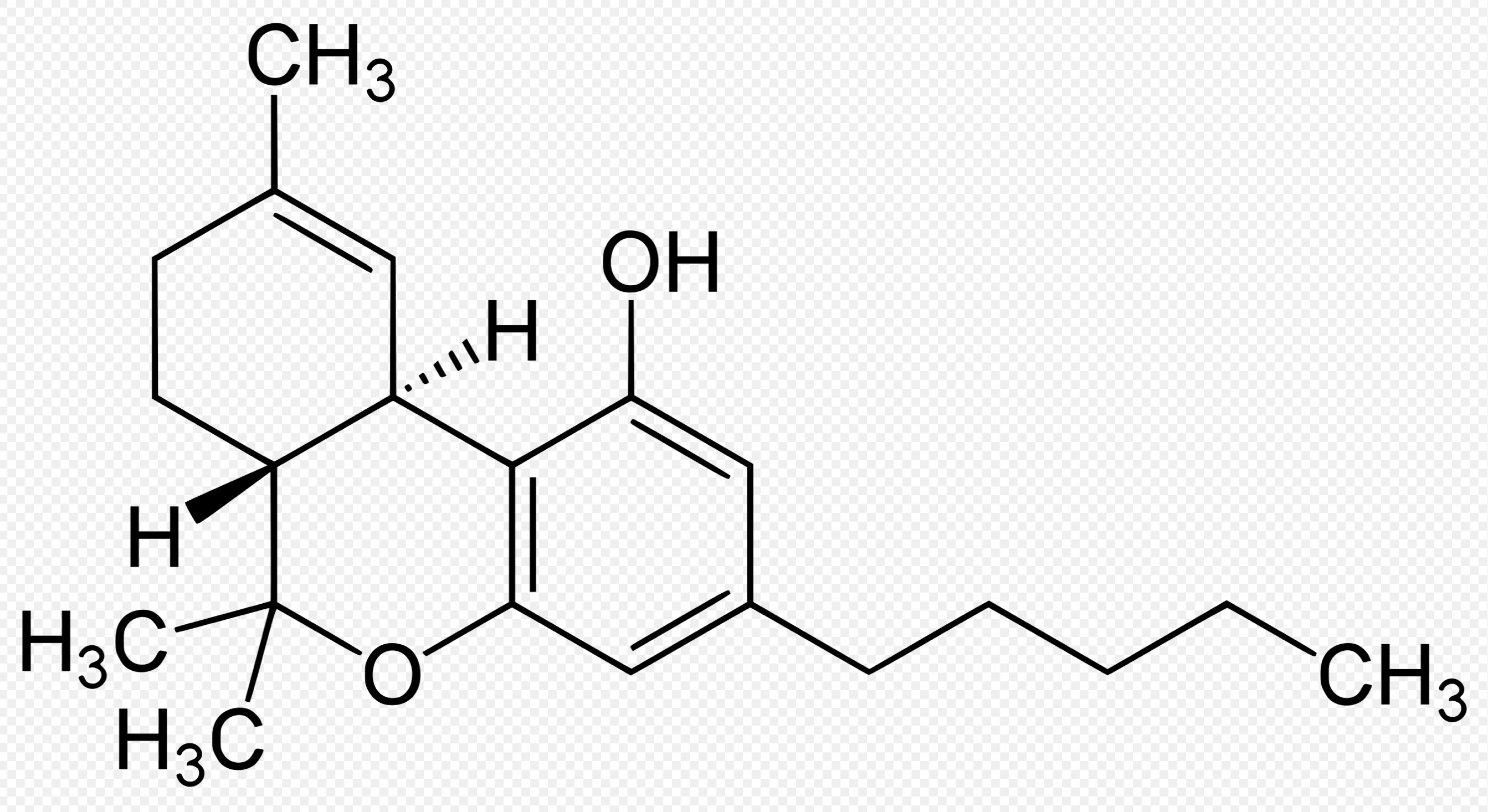 大麻,毒品,物質濫用,藥物濫用,成癮,大麻合法化,大麻平權遊行,社會議題,四氫大麻酚