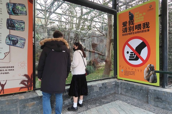 ▲上海動物園飽受遊客「任意投餵」之苦，多年來已折損不少明星級動物。（圖／CFP）