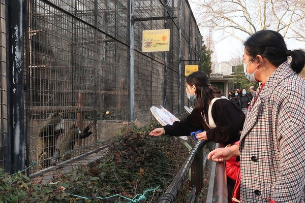 ▲上海動物園內遊客投餵動物行為。（圖／CFP）
