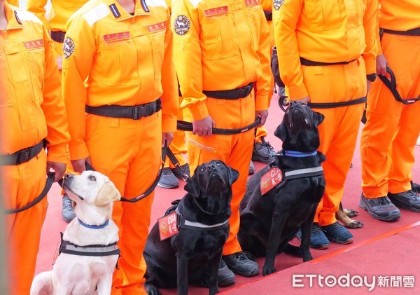 海巡狗狗畢業考。（圖／海巡署長室 Coast Guard）