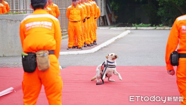 海巡狗狗畢業考。（圖／海巡署長室 Coast Guard）