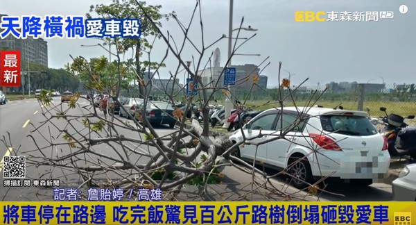 ▲▼高雄路樹倒塌壓車。（圖／東森新聞）