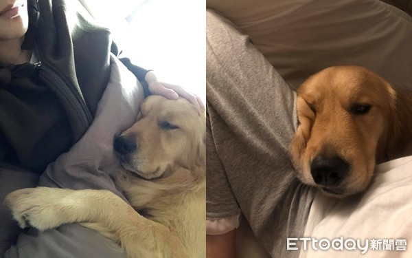 ▲▼Double。（圖／網友林小姐提供）