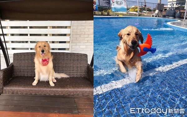 ▲▼Double。（圖／網友林小姐提供）