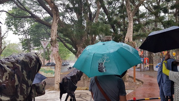 ▲曾文水庫下雨 。（圖／拍鳥俱樂部鳥友提供）