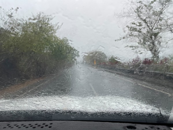 ▲曾文水庫下雨 。（圖／拍鳥俱樂部鳥友提供）