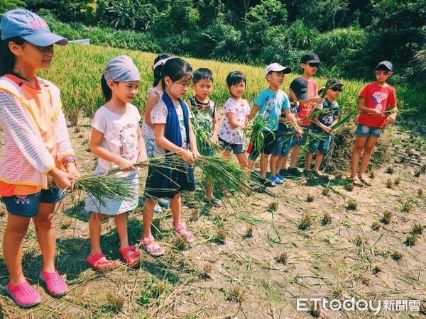 ▲新北石門嵩山推食農教育插秧 百年石砌梯田體驗季節性農事。（圖／新北市農業局提供）