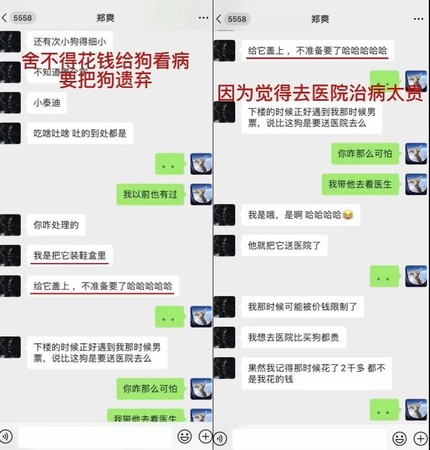 ▲張恒爆料鄭爽。（圖／翻攝自張恒微博）