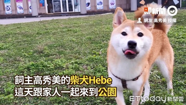 ▲▼Hebe。（圖／即新聞／網友高秀美提供）