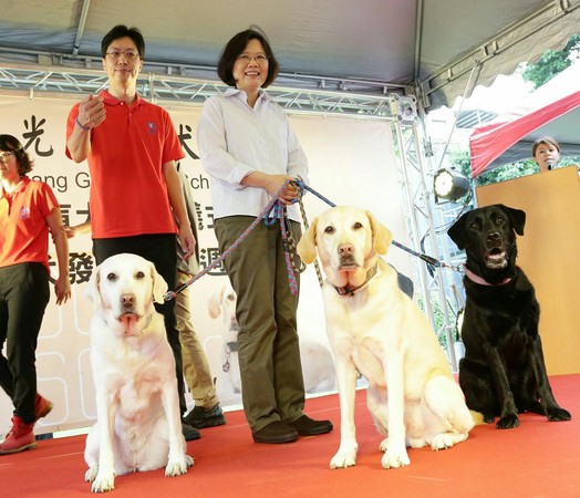 ▲▼惠光導盲犬學校分享蔡英文跟3寶的互動。（圖／惠光導盲犬學校臉書）