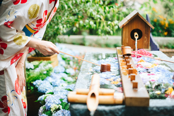 ▲▼薰衣草森林「繡球花季」來了。（圖／薰衣草森林提供）