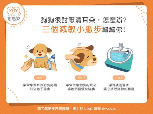 狗狗很討厭清耳朵怎麼辦？　3個減敏小撇步幫幫你！